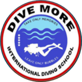 Dive More Diving Center in Hurghada