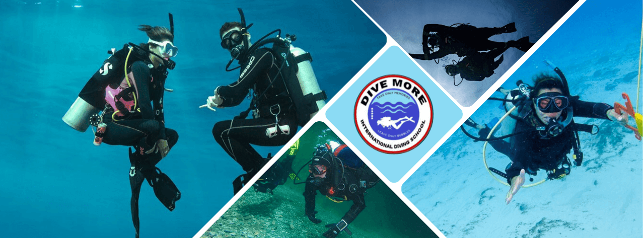 Dive More