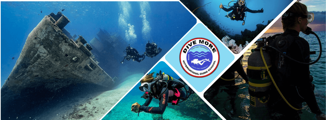 Dive More