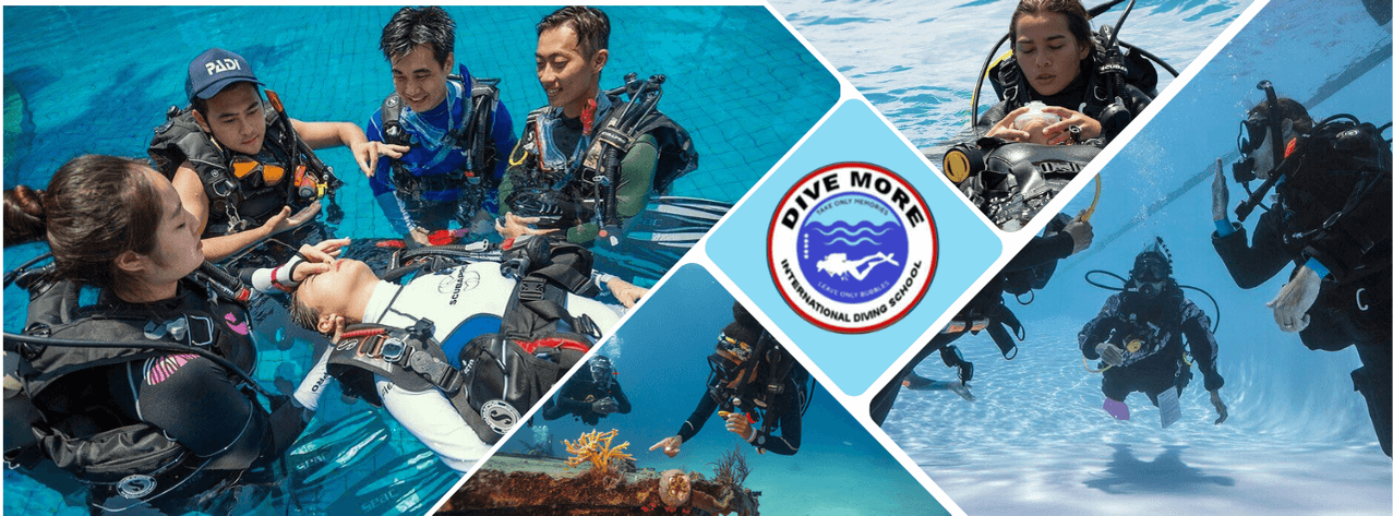 Dive More