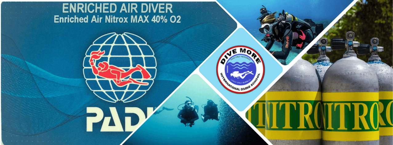 Dive More